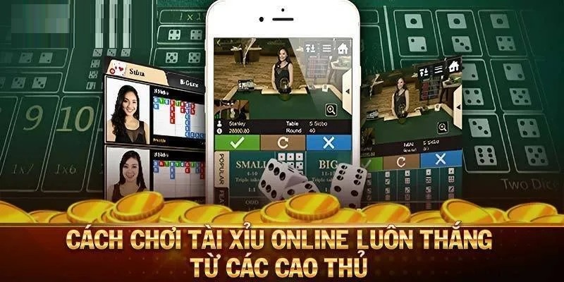 Cách chơi tài xỉu 8kbet 