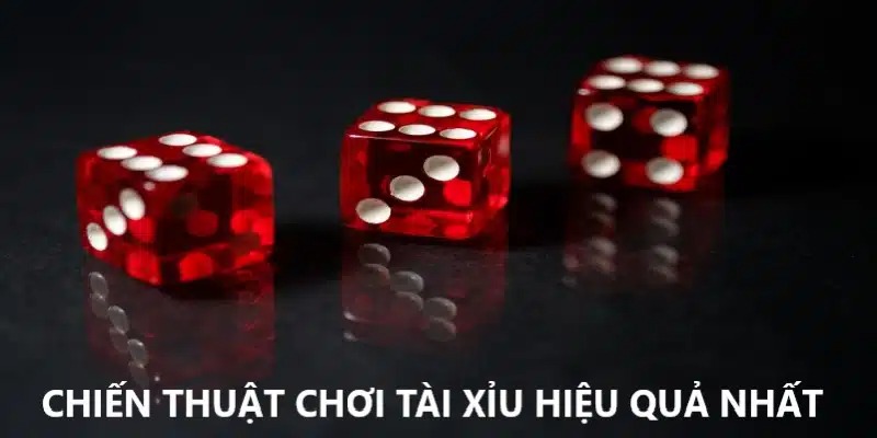 Chiến thuật chơi tài xỉu 8kbet